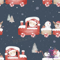 Strampler „Santa Express"